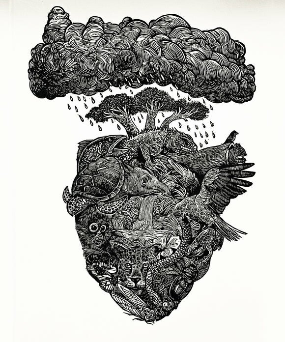 CICLO DEL CORAZÓN